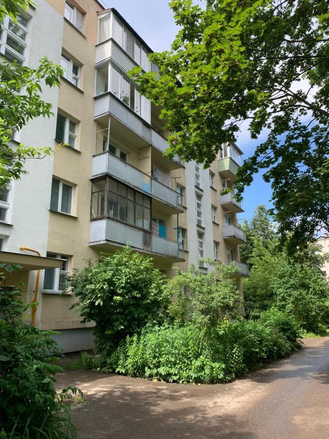 Blue Apartment Center City Wizebsk Exterior foto